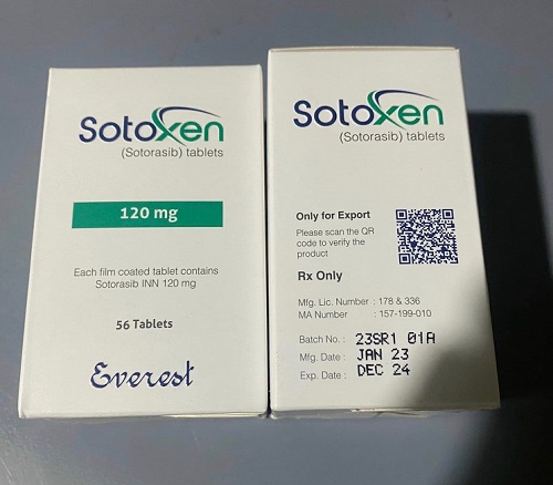 Thuốc điều trị ung thư phổi Sotoxen 120mg hộp 56 viên