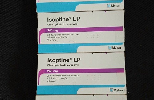 Isoptine LP 240mg 30 viên 