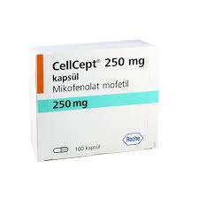 Cellcept 250mg hộp 100 viên